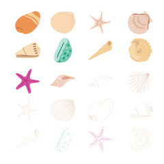 Ocean Seashell