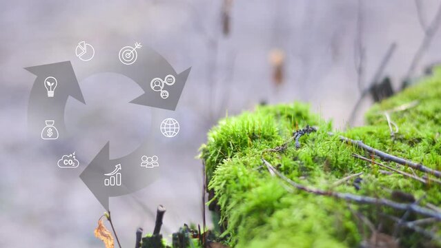 Circular economy concept for future business growth and environmental sustainability and reduce pollution for future business and environmental growth.4k
