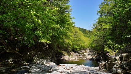 Wonderful spring scenery of Jiri Mountain in Korea