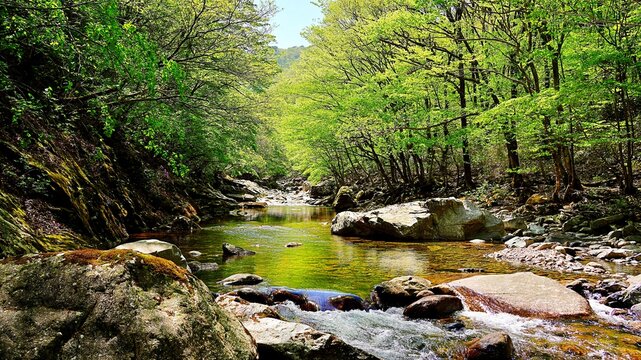 Wonderful spring scenery of Jiri Mountain in Korea