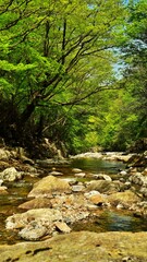 Wonderful spring scenery of Jiri Mountain in Korea