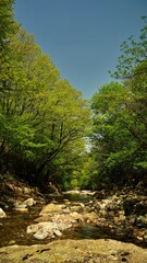 Wonderful spring scenery of Jiri Mountain in Korea