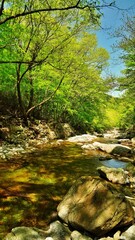 Wonderful spring scenery of Jiri Mountain in Korea