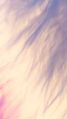 Blurred delicate background s for background. Instagram mobile story size.