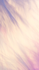 Defocused feathers. Background for text 
