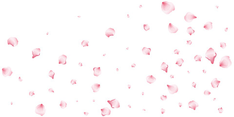 Fototapeta na wymiar Flying pink petals transparent background. Beautiful floral overlay with lots of rose petals.