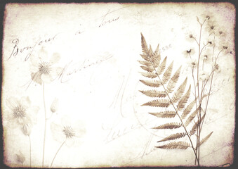 Retro background with dry pressed leaves and flowers on paper texture. Nostalgic scrapbooking...