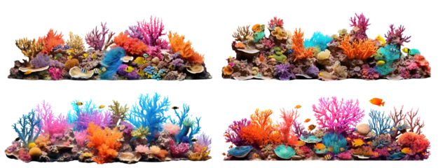 Schilderijen op glas Set of coral reefs, cut out © Yeti Studio
