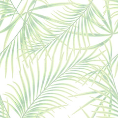 Seamless tropical pattern.Light green palm leaves on a white background.