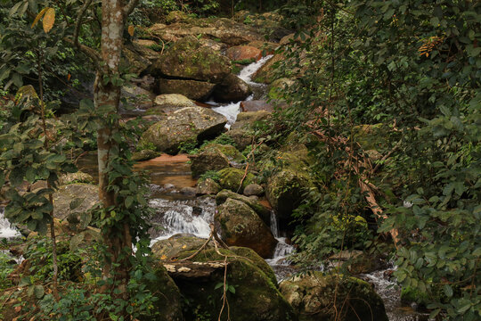 Scenic waterfall through the rocks, Nelliyampathi