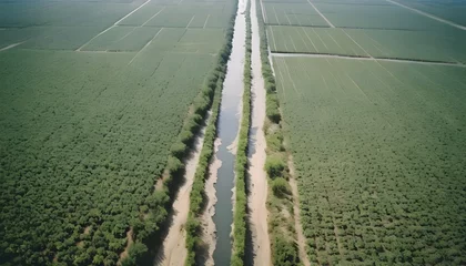 Sierkussen Aerial view of an irrigation canal that cuts through rural farmland. Top view of eucalyptus forest in Thailand. Cultivation business. Natural landscape background. © Hritcu