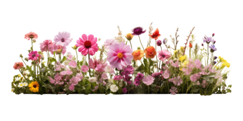 flower bed isolated on transparent background