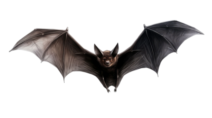 Flying bat isolated on transparent a white background