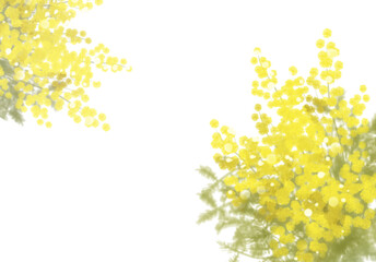 yellow flower background