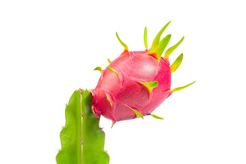 Dragon fruit, pitaya isolated on white background, clipping path included. Fresh organic dragon fruit from the garden on white background, creative summer food concept. full depth of field.