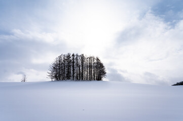 北海道美瑛の丘の雪景色