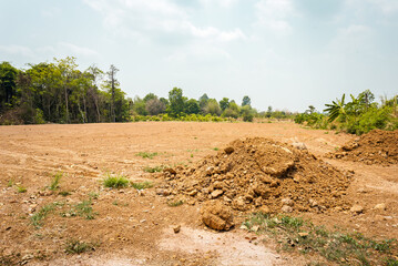 Empty dry cracked swamp reclamation soil, land plot for housing construction project with car tire...