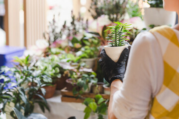 Cropped shot of unrecognizable woman holding potted flower plant in garden shop.