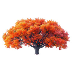 autumn maple tree isolated on transparent background