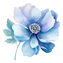 Watercolor blue flower. Hand painted transparent anemone with detailed petals. Botanical illustration for wedding design
