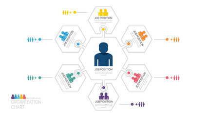 Infographic template for organization chart with business avatar icons. vector infographic for business.