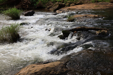 Naklejka premium Spectacular view of wild stream enhances the beauty of Nelliyampathy