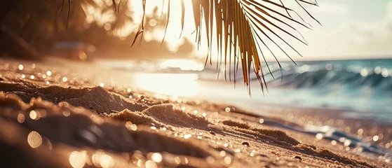 Foto op Aluminium Serene beachscape with a surfboard on sand, framed by palm trees, overlooking the ocean. Banner beautiful coastal scene with a laid-back tropical vibe © Anna Zhuk