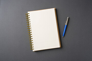 Ballpoint pen made of blue plastic and metal standing on lined notebook