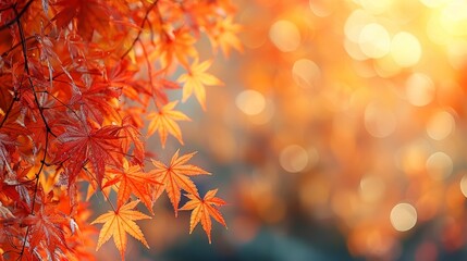 Leafy autumn background - obrazy, fototapety, plakaty