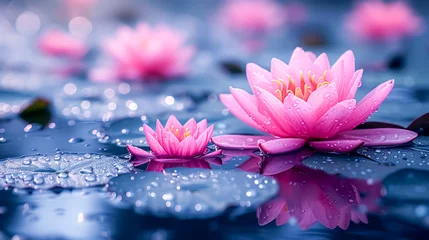 Fotobehang Beautiful pink lotus flower on the water with drop of water. © korkut82