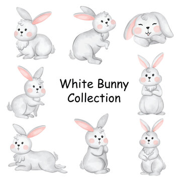White rabbits in various poses watercolor collection