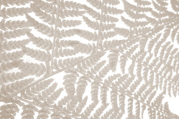 Discrete nature background in warm beige color 