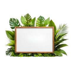 Empty wooden white board with around green leaves on transparent background.