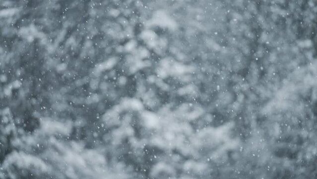 スロー映像：雪山にしんしんと降り続ける綺麗な雪