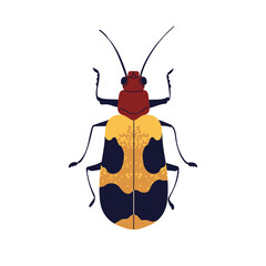 Winged bug. Spotted insect species with antenna, above top view. Red speckled jewel beetle icon. Flat graphic vector illustration isolated on white background - 750424313