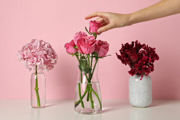 Beautiful, fresh flowers on a pink background.