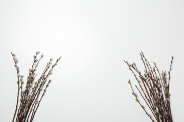 Spring holiday - Easter, concept of Easter with willow