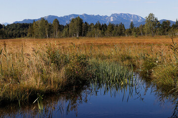 Moorgebiert in Oberbayern bei Bad Tölz, Sachsenkam