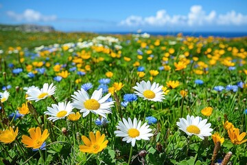 Obraz premium Beautiful nature early spring landscapes professional photography