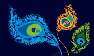 Vector of elegant peacock feathers. Vector. Peacock feather is an auspicious symbol in Hinduism.