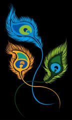 Vector of elegant peacock feathers. Vector. Peacock feather is an auspicious symbol in Hinduism.