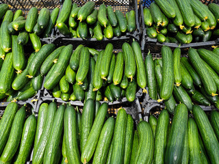 Long cucumbers in plastic boxes at the mall - 750437975
