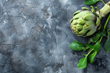 Fresh raw organic farm one artichoke on grey rustic stone background top view, healthy artichokes in balanced nutrition and cooking concept. 