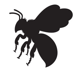 Africanized Honey Bee. Vector image. White background.