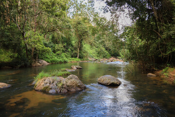 Naklejka na ściany i meble Scenic stream in Nelliyampathy with trees and rocks
