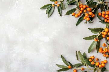 Sea buckthorn branches with leaves and ripe berries top view on light grey simple background. Space for text.