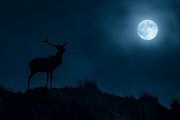 Deer Silhouette on a Hill in the Moonlight, World Wildlife Day