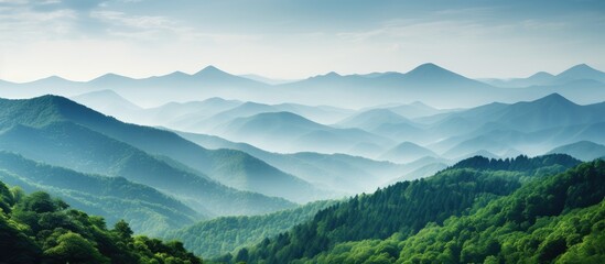 Serene Mountain Range Blanketed with Lush Green Trees Amidst Clear Skies and Fresh Air