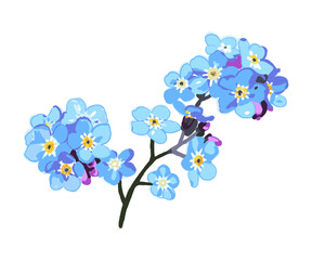 Blue flowers bouquet. Hand-drawn watercolor botanical poster. Floral element isolated on white background.