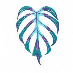 Trendy monstera risograph print with texture style. Set of hand-drawn leafs. Graphic drawing of colorful leaves on white background. Illustration of leaf.